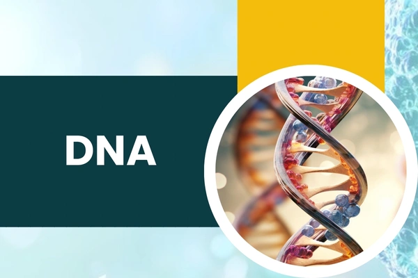 DNA in Hari Nagar